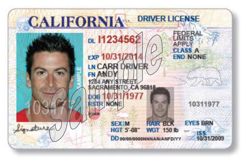 Ca drivers license numbers